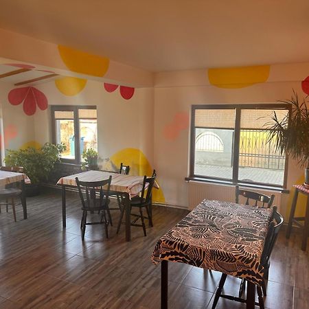 Pensiunea Vera Rîşnov Exterior foto